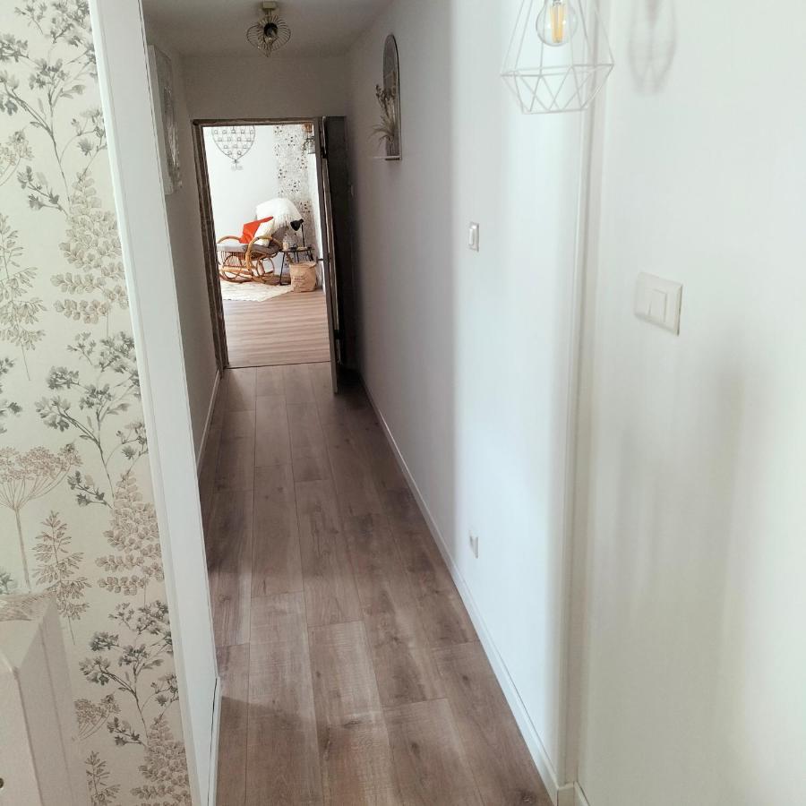 Gite Belle Fleur 6 Personnes- Vosges Saint-Nabord ภายนอก รูปภาพ