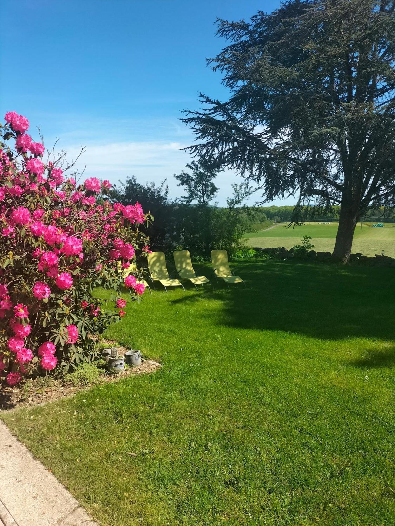 Gite Belle Fleur 6 Personnes- Vosges Saint-Nabord ภายนอก รูปภาพ